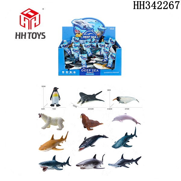 ocean animal
