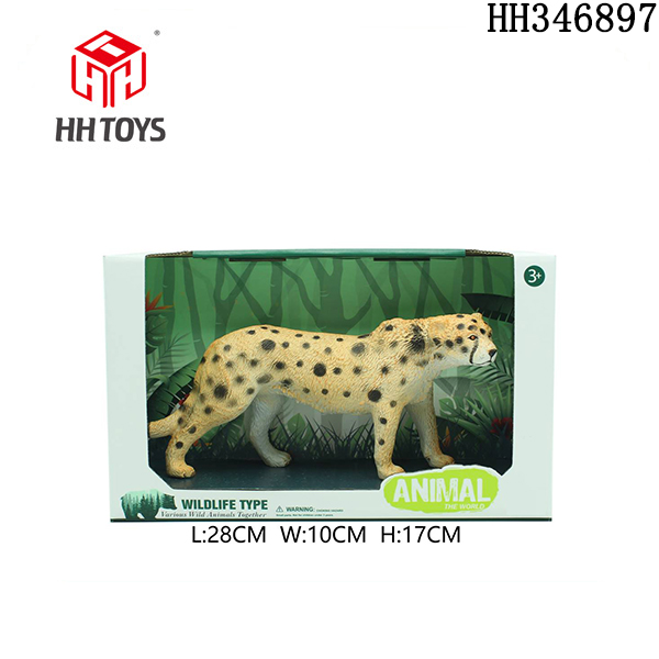 cheetah