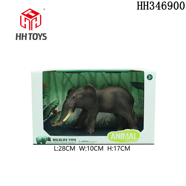 elephant