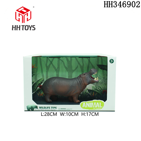 hippo