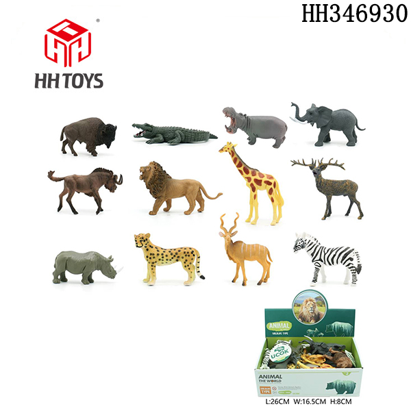 Animal